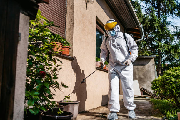 Best Pest Inspection Near Me  in Metropolis, IL