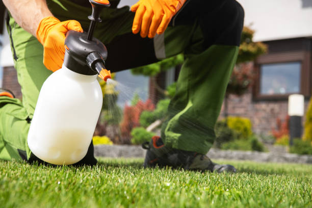 Best Best Pest Control Companies  in Metropolis, IL