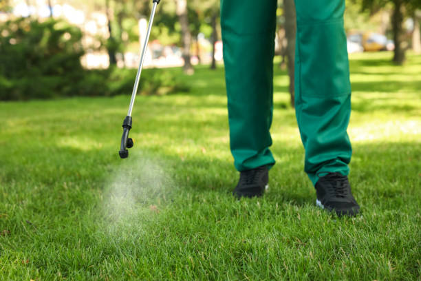 Best Bed Bug Extermination  in Metropolis, IL