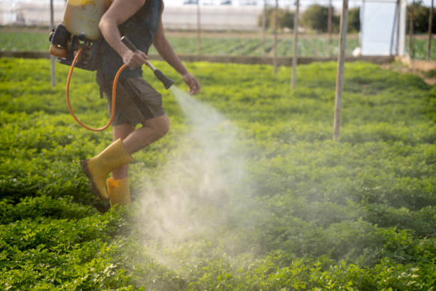 Best Pest Control Near Me  in Metropolis, IL