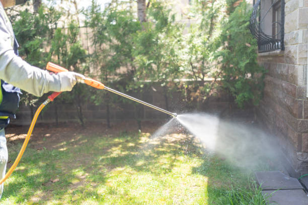 Best Affordable Pest Control Services  in Metropolis, IL