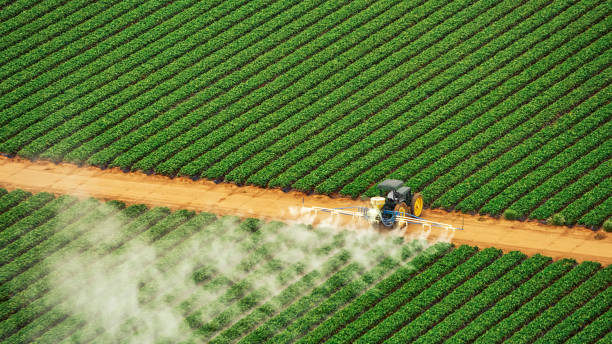 Pest Prevention Services in Metropolis, IL