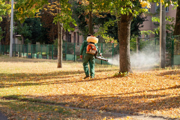 Best Ant Control Services  in Metropolis, IL