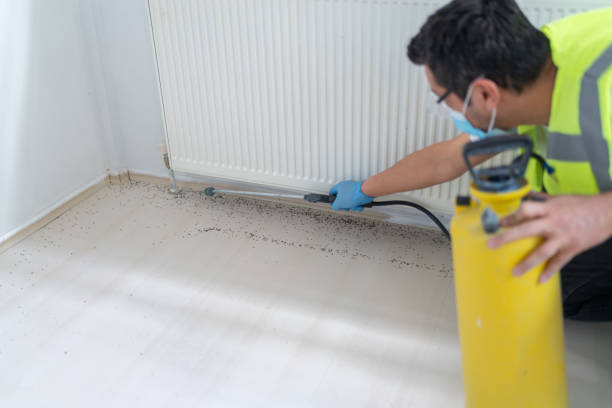 Best Local Pest Control Services  in Metropolis, IL
